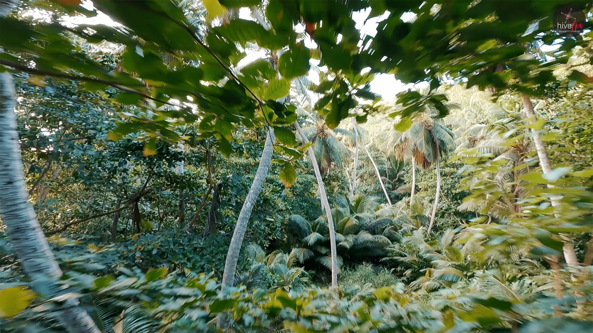 Aerial view of a lush tropical island surrounded by turquoise waters at golden hour