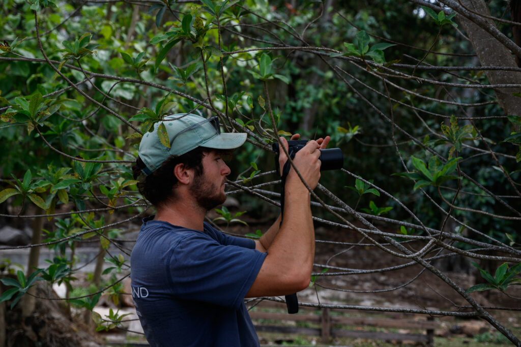 Conservation officer is using the camera to capture the bird ring number to id the birds