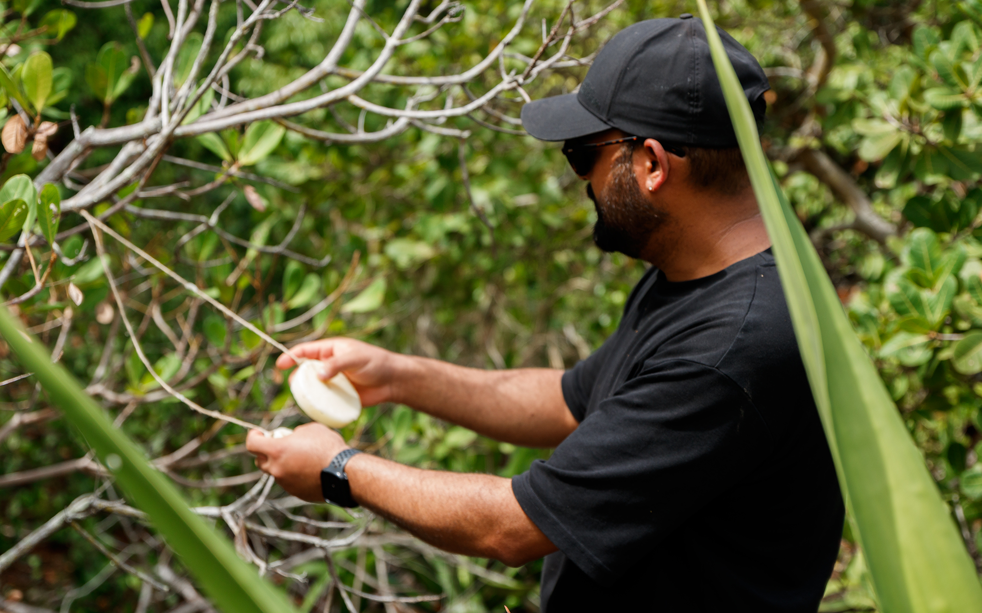 Subam Kathet, a researcher from Molecular Attraction