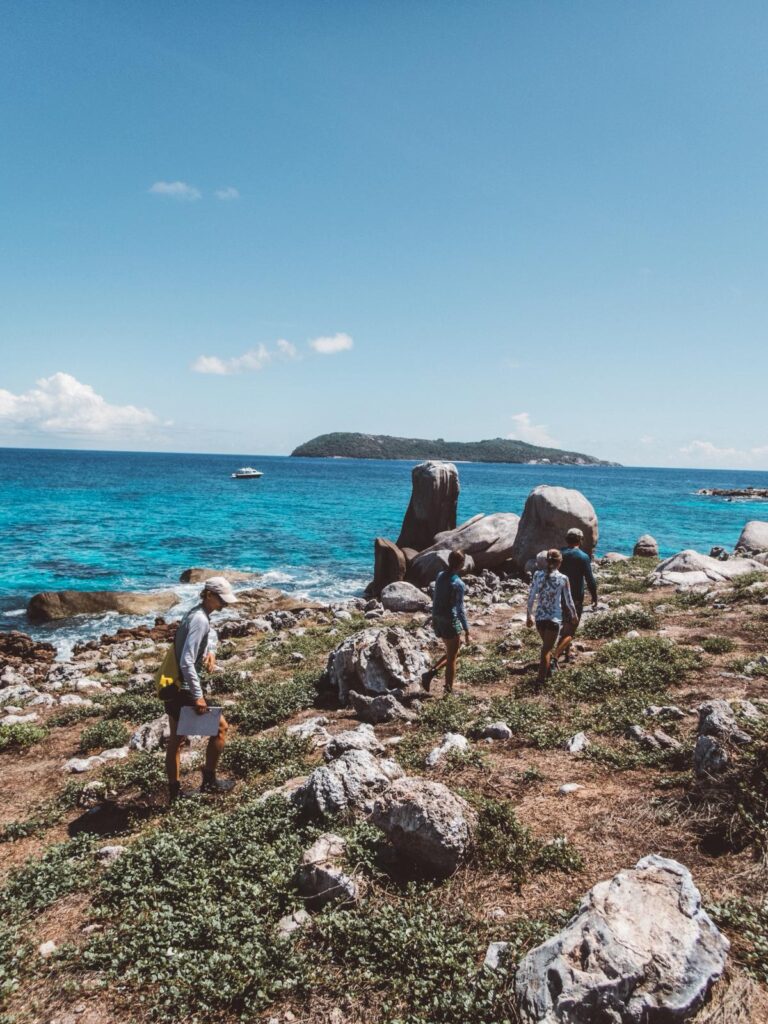 Conservation team is exploring the island before setting up the transects