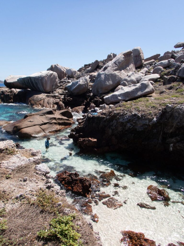 Conservation team of Fregate Island in the field